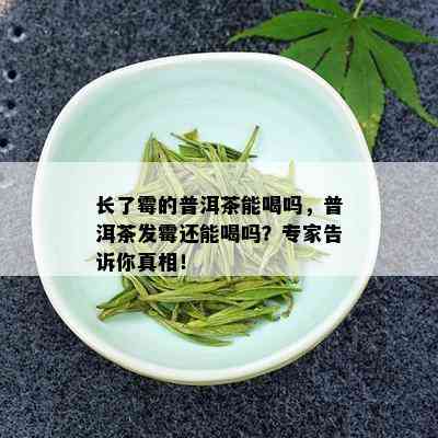 长了霉的普洱茶能喝吗，普洱茶发霉还能喝吗？专家告诉你真相！