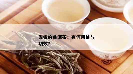 发霉的普洱茶：有何用处与功效？