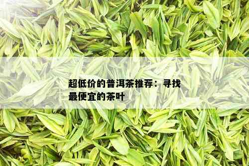 超低价的普洱茶推荐：寻找更便宜的茶叶