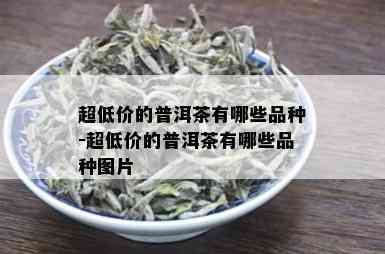 超低价的普洱茶有哪些品种-超低价的普洱茶有哪些品种图片