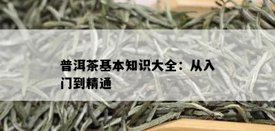 普洱茶基本知识大全：从入门到精通