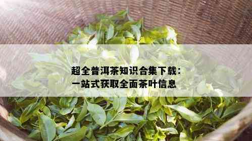 超全普洱茶知识合集下载：一站式获取全面茶叶信息