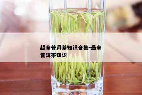 超全普洱茶知识合集-最全普洱茶知识