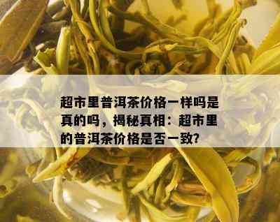 超市里普洱茶价格一样吗是真的吗，揭秘真相：超市里的普洱茶价格是否一致？