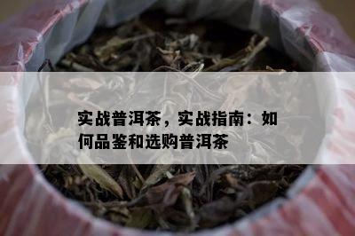 实战普洱茶，实战指南：如何品鉴和选购普洱茶