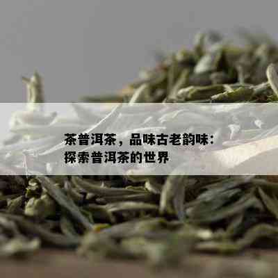 茶普洱茶，品味古老韵味：探索普洱茶的世界