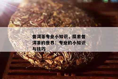 普洱茶专业小知识，探索普洱茶的世界：专业的小知识与技巧