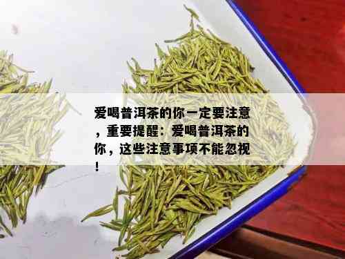 爱喝普洱茶的你一定要注意，重要提醒：爱喝普洱茶的你，这些注意事项不能忽视！