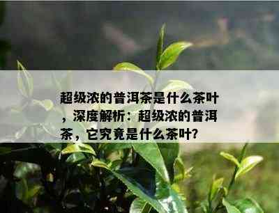 超级浓的普洱茶是什么茶叶，深度解析：超级浓的普洱茶，它究竟是什么茶叶？