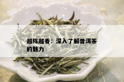 越陈越香：深入了解普洱茶的魅力