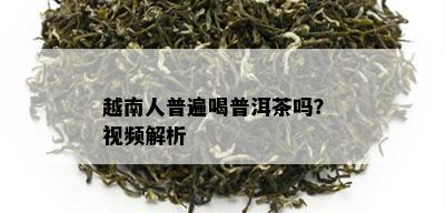 越南人普遍喝普洱茶吗？ 视频解析