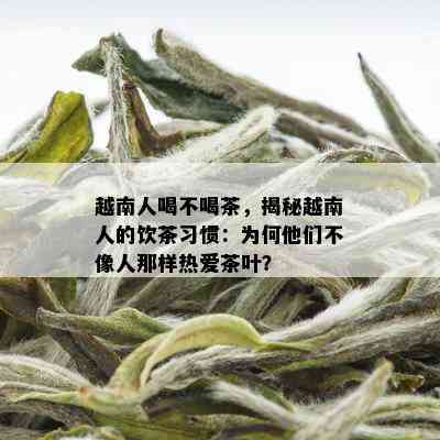 越南人喝不喝茶，揭秘越南人的饮茶习惯：为何他们不像人那样热爱茶叶？