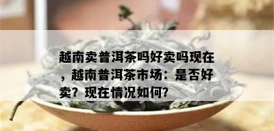 越南卖普洱茶吗好卖吗现在，越南普洱茶市场：是否好卖？现在情况如何？