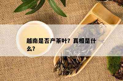 越南是否产茶叶？真相是什么？