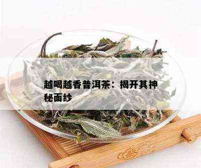 越喝越香普洱茶：揭开其神秘面纱