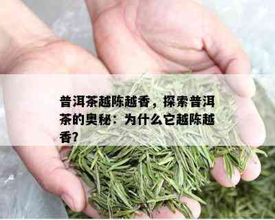 普洱茶越陈越香，探索普洱茶的奥秘：为什么它越陈越香？