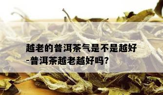 越老的普洱茶气是不是越好-普洱茶越老越好吗?