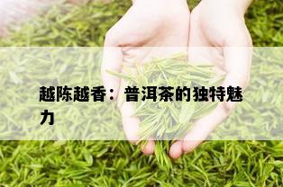 越陈越香：普洱茶的独特魅力