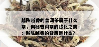 越陈越香的普洱茶属于什么茶，揭秘普洱茶的陈化之美：越陈越香的背后是什么？