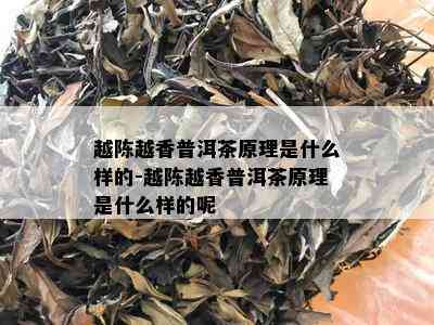 越陈越香普洱茶原理是什么样的-越陈越香普洱茶原理是什么样的呢