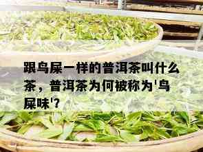 跟鸟屎一样的普洱茶叫什么茶，普洱茶为何被称为'鸟屎味'？