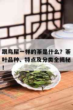 跟鸟屎一样的茶是什么？茶叶品种、特点及分类全揭秘！