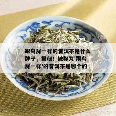 跟鸟屎一样的普洱茶是什么牌子，揭秘！被称为'跟鸟屎一样'的普洱茶是哪个的？