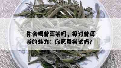 你会喝普洱茶吗，探讨普洱茶的魅力：你愿意尝试吗？