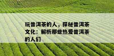 玩普洱茶的人，探秘普洱茶文化：解析那些热爱普洱茶的人们