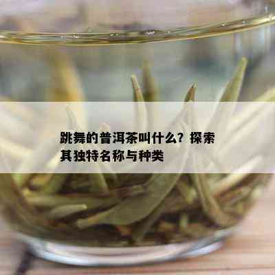 跳舞的普洱茶叫什么？探索其独特名称与种类