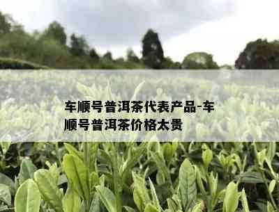 车顺号普洱茶代表产品-车顺号普洱茶价格太贵