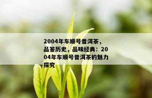 2004年车顺号普洱茶，品鉴历史，品味经典：2004年车顺号普洱茶的魅力探究