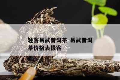 轻客易武普洱茶-易武普洱茶价格表极客