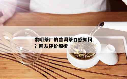 黎明茶厂的普洱茶口感如何？网友评价解析