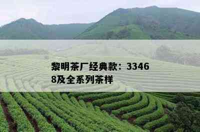 黎明茶厂经典款：33468及全系列茶样