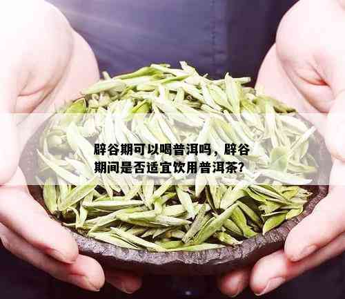 辟谷期可以喝普洱吗，辟谷期间是否适宜饮用普洱茶？