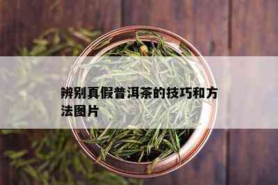 辨别真假普洱茶的技巧和方法图片