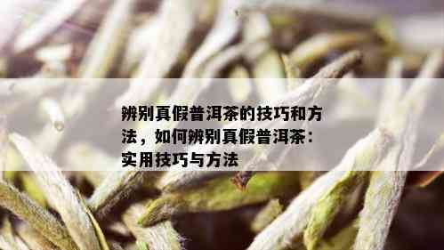 辨别真假普洱茶的技巧和方法，如何辨别真假普洱茶：实用技巧与方法