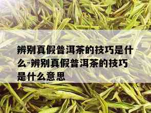 辨别真假普洱茶的技巧是什么-辨别真假普洱茶的技巧是什么意思