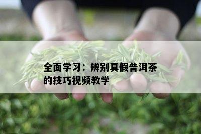 全面学习：辨别真假普洱茶的技巧视频教学