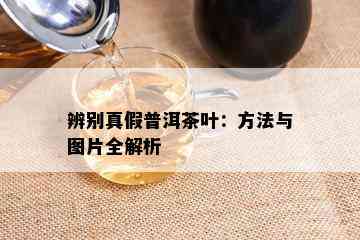 辨别真假普洱茶叶：方法与图片全解析