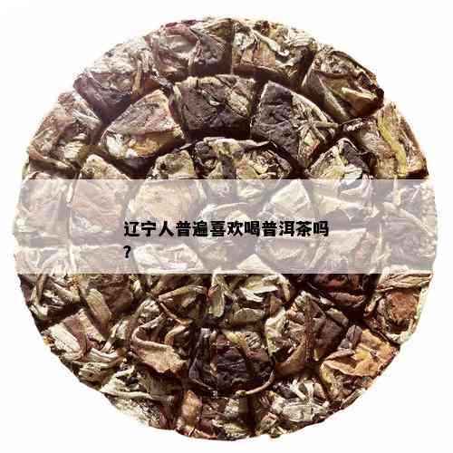 辽宁人普遍喜欢喝普洱茶吗？