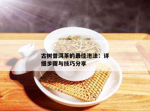 古树普洱茶的更佳泡法：详细步骤与技巧分享