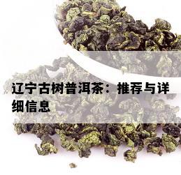 辽宁古树普洱茶：推荐与详细信息