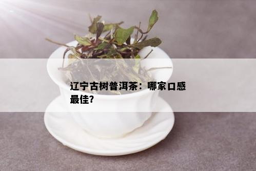 辽宁古树普洱茶：哪家口感更佳？