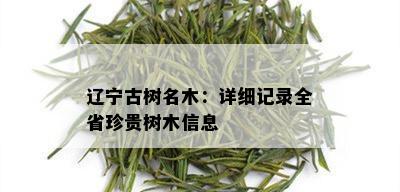 辽宁古树名木：详细记录全省珍贵树木信息