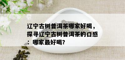 辽宁古树普洱茶哪家好喝，探寻辽宁古树普洱茶的口感：哪家更好喝？