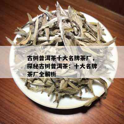 古树普洱茶十大名牌茶厂，探秘古树普洱茶：十大名牌茶厂全解析