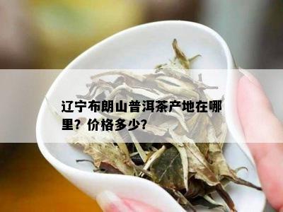 辽宁布朗山普洱茶产地在哪里？价格多少？