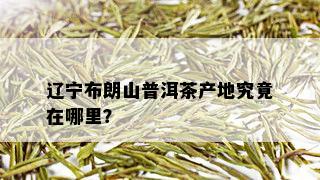 辽宁布朗山普洱茶产地究竟在哪里？